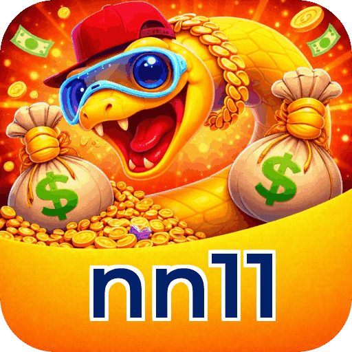nn11